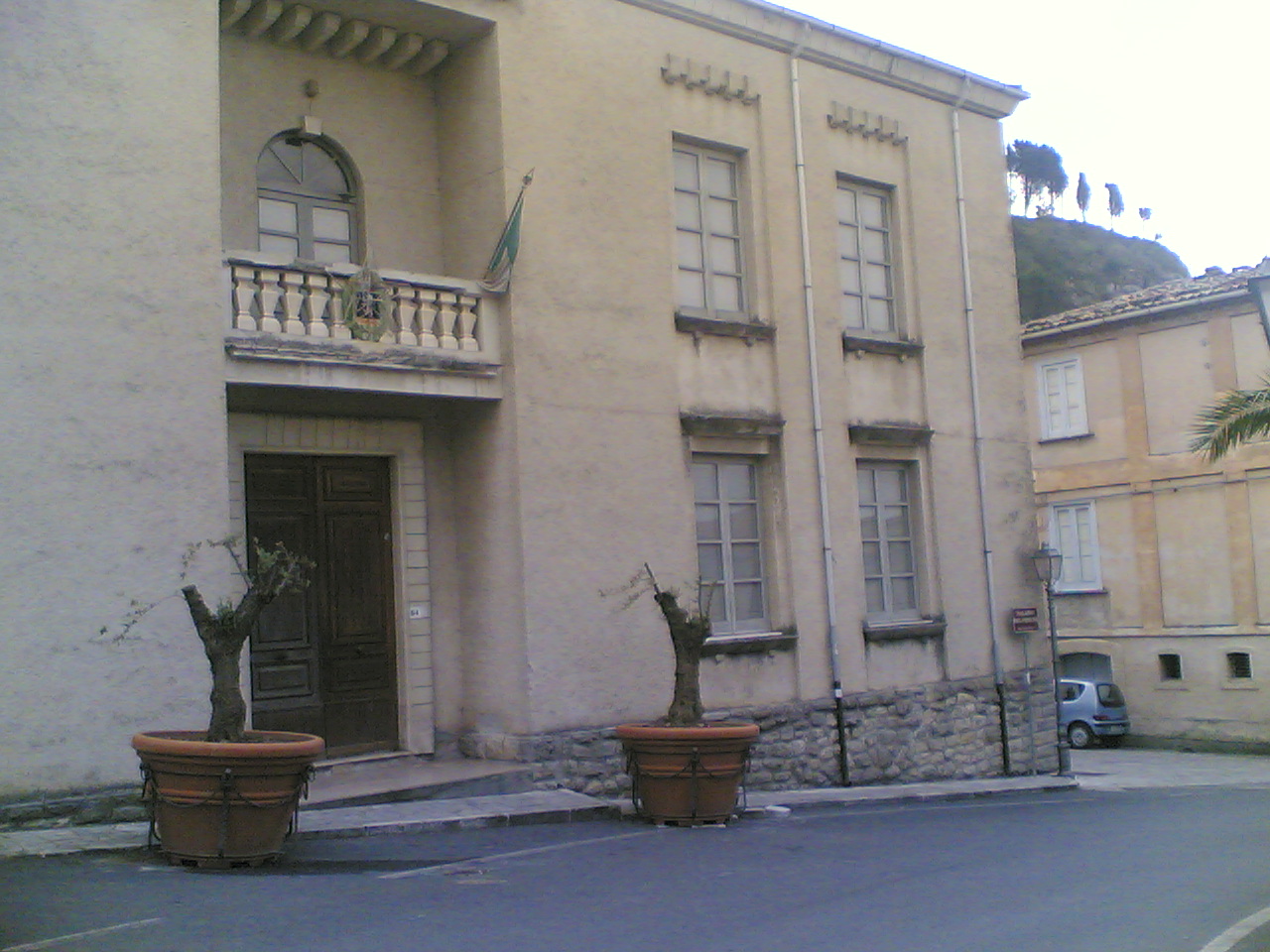 Gli alberi di ulivo - 21.06.08.jpg